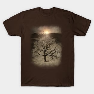 Sunset III T-Shirt